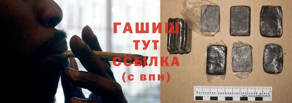 прущий лед Алзамай