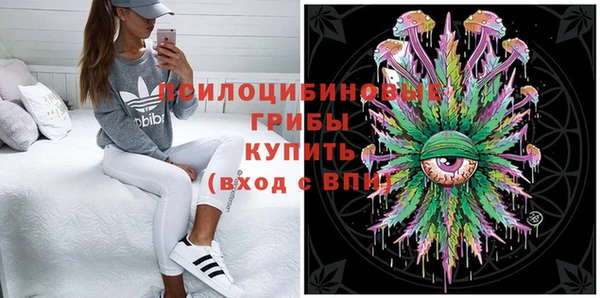прущий лед Алзамай